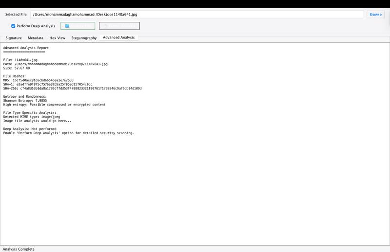 file signature analyzer full report page