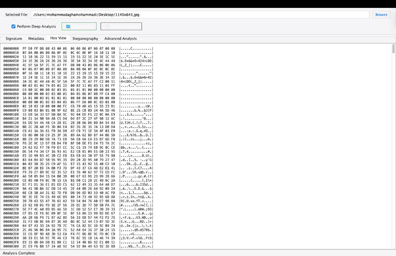 file signature analyzer hexviewer