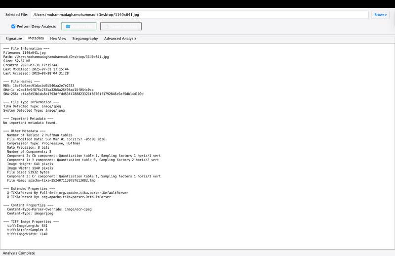 file signature analyzer metadata extractor