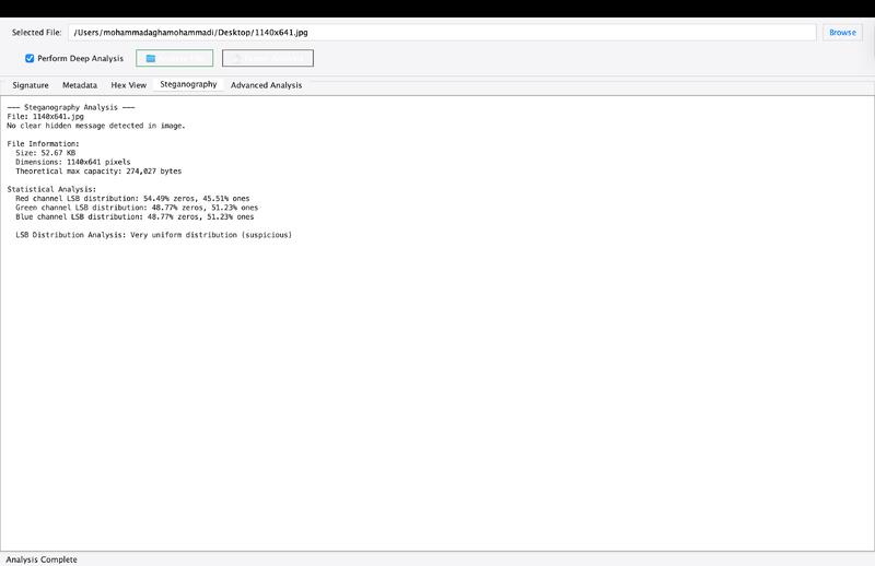 file signature analyzer stenegraphy detector
